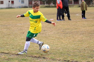 开云网页-青年球员在国际青赛中崭露头角获多家俱乐部关注，青年人赛程